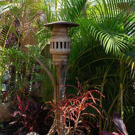 Lotus Suite, 1 Bedroom, Sleeps 4, Pool & Bbq, Pre-Renovation Summer Sale Kihei Luaran gambar