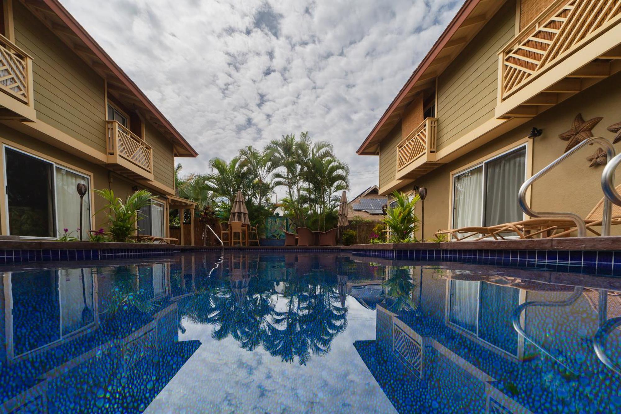 Lotus Suite, 1 Bedroom, Sleeps 4, Pool & Bbq, Pre-Renovation Summer Sale Kihei Luaran gambar
